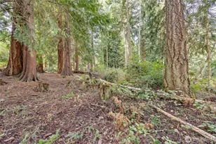 225 Belvedere Dr, Port Townsend, WA 98368 - Photo 1