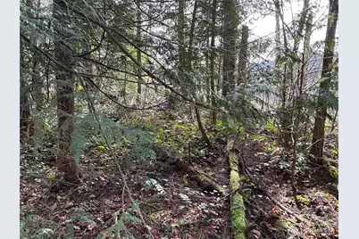149 Xx 175th Avenue SE, Renton, WA 98059 - Photo 8