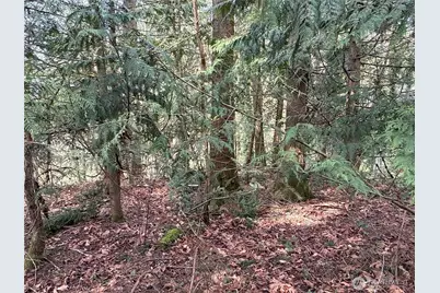 149 Xx 175th Avenue SE, Renton, WA 98059 - Photo 16