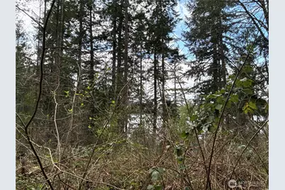 18243 SE Suncrest Court, Yelm, WA 98597 - Photo 6