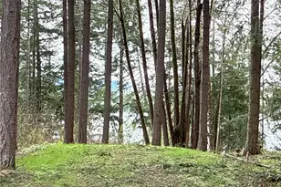 18243 SE Suncrest Ct, Yelm, WA 98597 - Photo 1