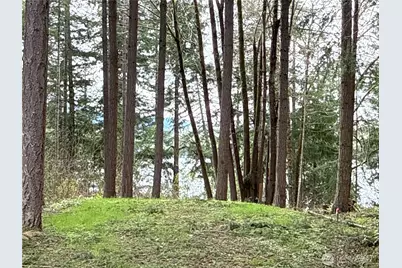 18243 SE Suncrest Court, Yelm, WA 98597 - Photo 2