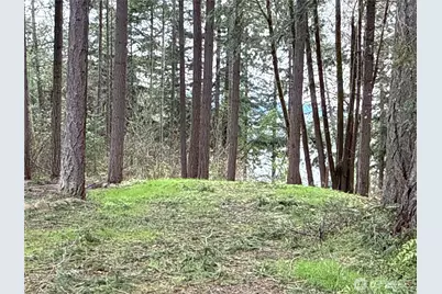 18243 SE Suncrest Court, Yelm, WA 98597 - Photo 2