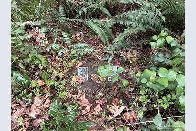 17636 E Clear Lake Boulevard SE, Yelm, WA 98597 - Photo 18