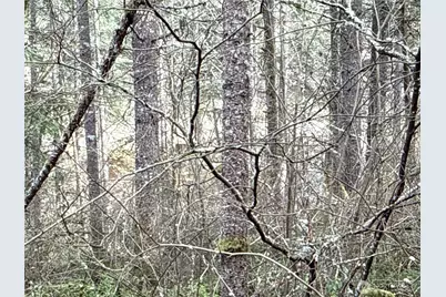 17636 E Clear Lake Boulevard SE, Yelm, WA 98597 - Photo 16