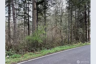 17636 E Clear Lake Boulevard SE, Yelm, WA 98597 - Photo 2