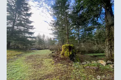 155 Dragonfly Drive, Orcas Island, WA 98279 - Photo 14