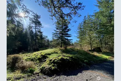 155 Dragonfly Drive, Orcas Island, WA 98279 - Photo 6