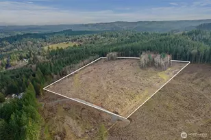 0 Little Hanaford, Centralia, WA 98531 - Photo 1