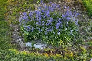 135 NW Walker Rd, Poulsbo, WA 98370 - Photo 18