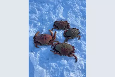 99 B Port Gardner Drive, Hat Island, WA 98206 - Photo 18