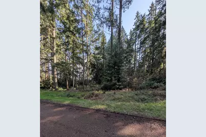 10325 Totem Way, Anderson Island, WA 98303 - Photo 2
