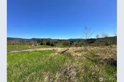 0 Elk Ridge Road, Mossyrock, WA 98564 - Photo 8