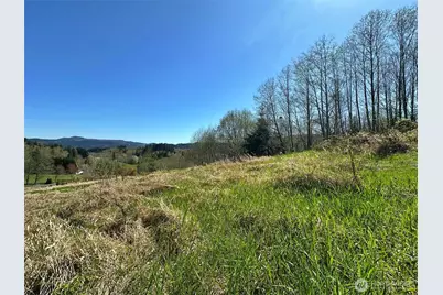 0 Elk Ridge Road, Mossyrock, WA 98564 - Photo 10