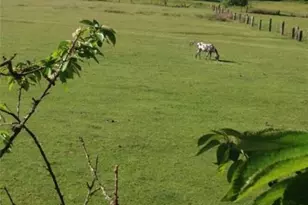 22750 State Road 530, Darrington, WA 98241 - Photo 36