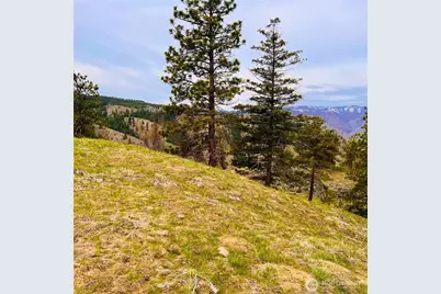 66 Coyote Lane, Waterville, WA 98843 - Photo 6