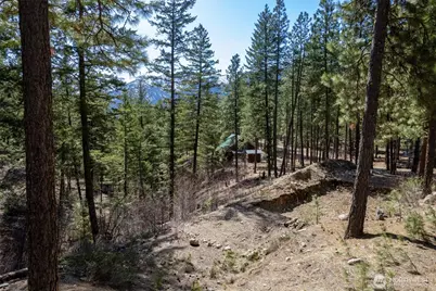 94 Homestead Road, Winthrop, WA 98862 - Photo 6