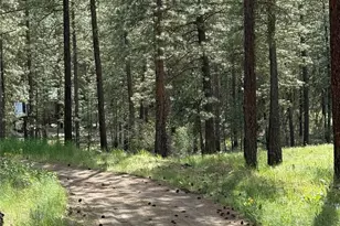 21 Twin Lakes Dr, Winthrop, WA 98862 - Photo 8