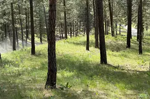 21 Twin Lakes Dr, Winthrop, WA 98862 - Photo 2