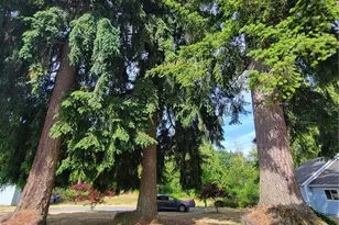 19730 5th Ave NE, Arlington, WA 98223 - Photo 28