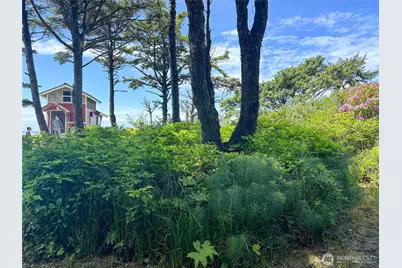 4753 Beach Lane, Moclips, WA 98562 - Photo 20