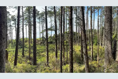 5 & 6 Roosevelt Beach Lots, Pacific Beach, WA 98571 - Photo 6