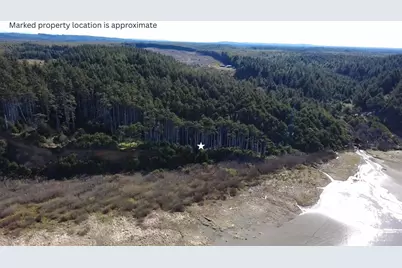 5 & 6 Roosevelt Beach Lots, Pacific Beach, WA 98571 - Photo 2