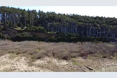 5 & 6 Roosevelt Beach Lots, Pacific Beach, WA 98571 - Photo 8