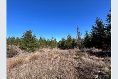 0 Nka Salmon Creek Road, Toledo, WA 98591 - Photo 4