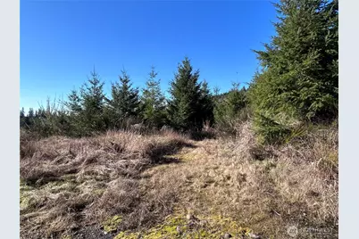 0 Nka Salmon Creek Road, Toledo, WA 98591 - Photo 2