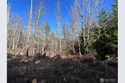 0 Nka Salmon Creek Road, Toledo, WA 98591 - Photo 8