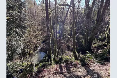0 Nka Salmon Creek Road, Toledo, WA 98591 - Photo 12