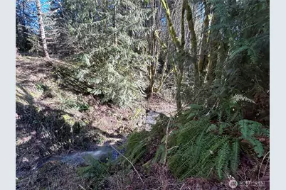 0 Nka Salmon Creek Road, Toledo, WA 98591 - Photo 10