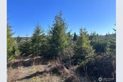 0 Nka Salmon Creek Road, Toledo, WA 98591 - Photo 6
