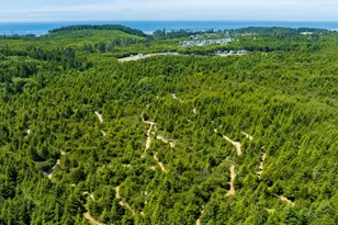 216 Front St, Pacific Beach, WA 98571 - Photo 24