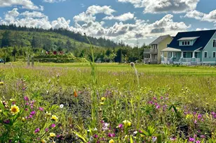 216 Front St, Pacific Beach, WA 98571 - Photo 20