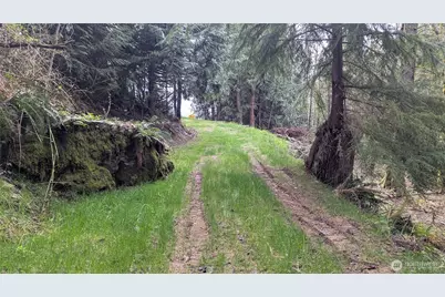 26551 Lake Cavanaugh Road, Mount Vernon, WA 98274 - Photo 8