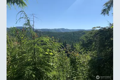 1 Tract Parpala Road, Naselle, WA 98638 - Photo 18