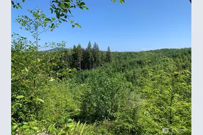 1 Tract Parpala Road, Naselle, WA 98638 - Photo 8