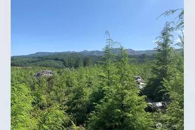 1 Tract Parpala Road, Naselle, WA 98638 - Photo 12