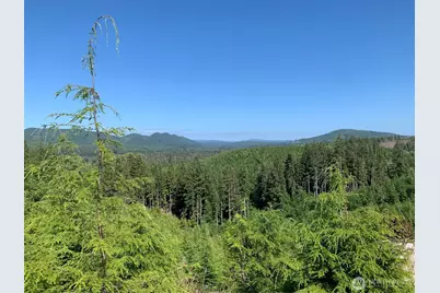 2 Tract Parpala Road, Naselle, WA 98638 - Photo 12