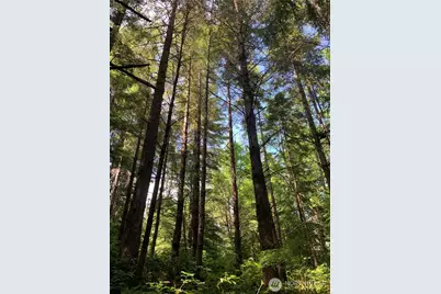 2 Tract Parpala Road, Naselle, WA 98638 - Photo 10