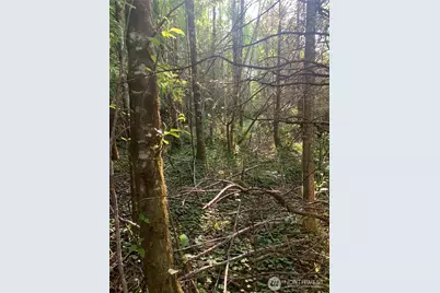 2 Tract Parpala Road, Naselle, WA 98638 - Photo 8