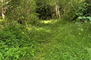 2 Tract Parpala Rd, Naselle, WA 98638 - Photo 1