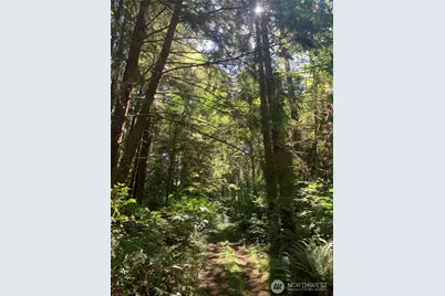 2 Tract Parpala Road, Naselle, WA 98638 - Photo 16