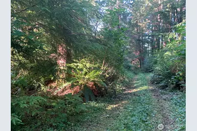 3 Tract Parpala Road, Naselle, WA 98638 - Photo 14