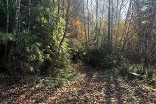 3 Tract Parpala Rd, Naselle, WA 98638 - Photo 1