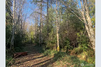 3 Tract Parpala Road, Naselle, WA 98638 - Photo 24