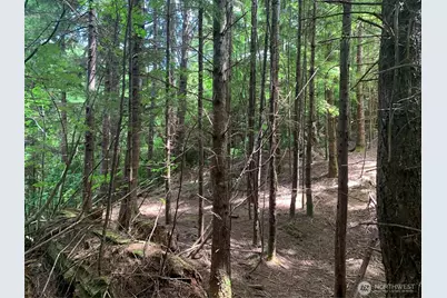 3 Tract Parpala Road, Naselle, WA 98638 - Photo 20