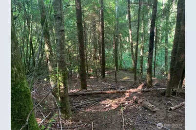 4 Tract Parpala Road, Naselle, WA 98638 - Photo 6